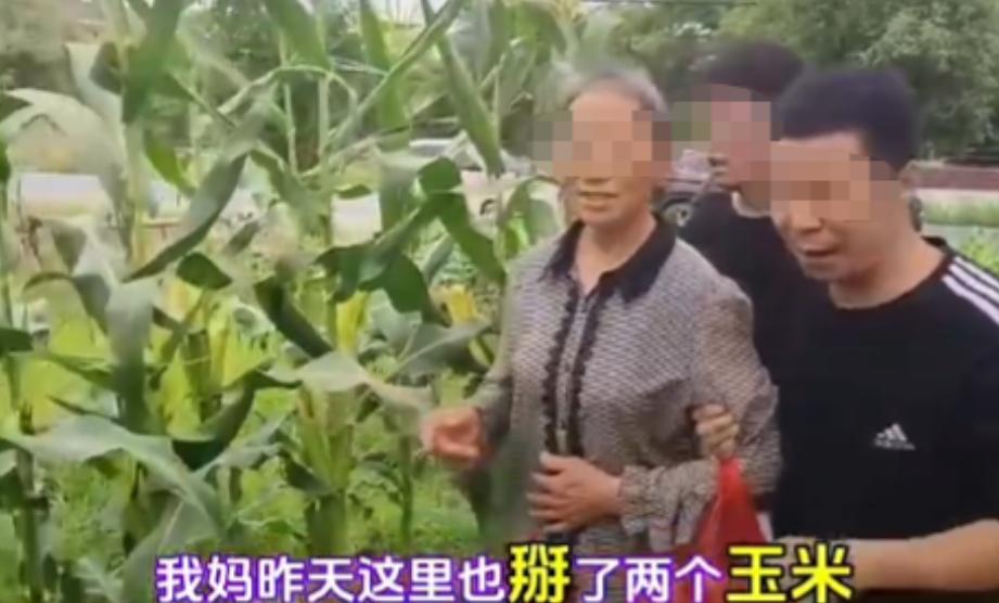 “还要脸吗？”老太太带孙子在男子地里，偷掰两个玉米，结果吃后双双农药中毒，老太家