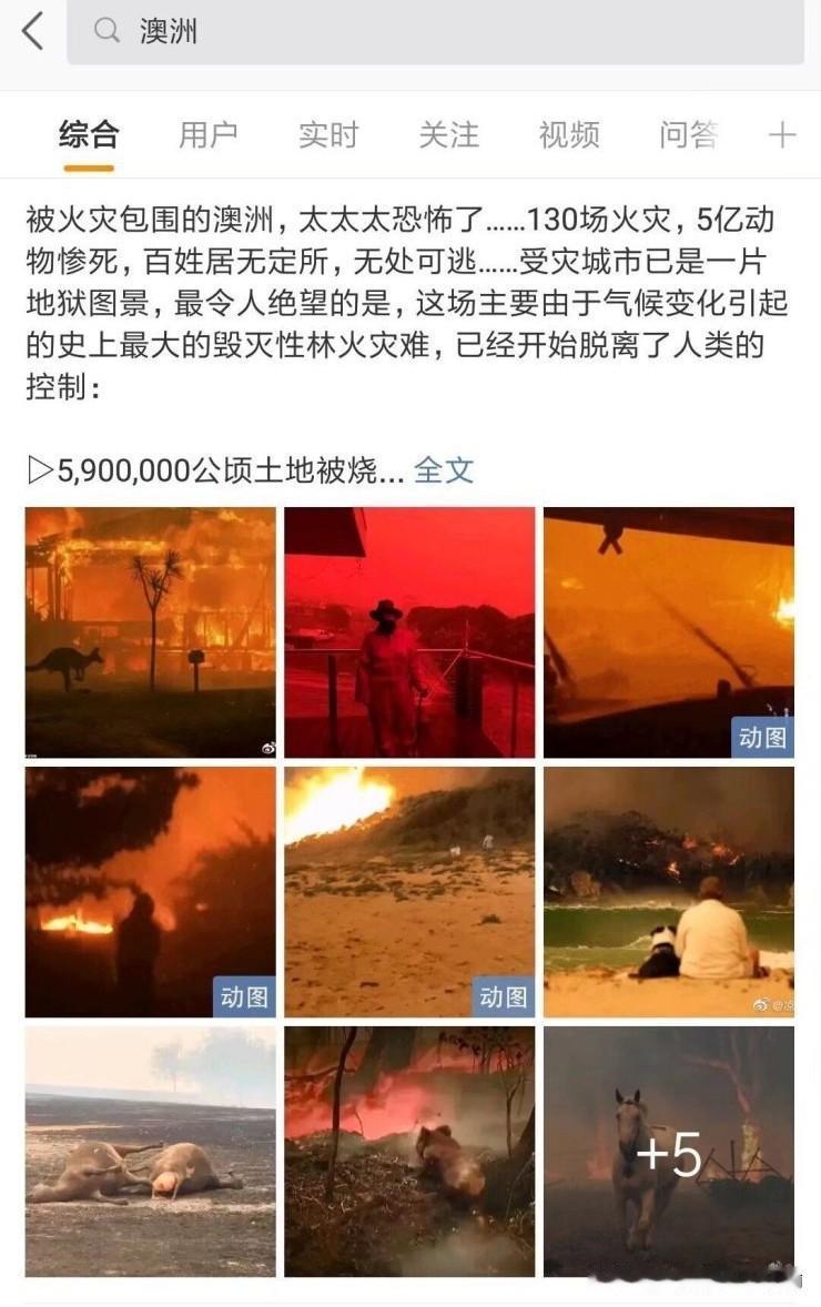 那场失控的澳洲大火，你还记得吗？