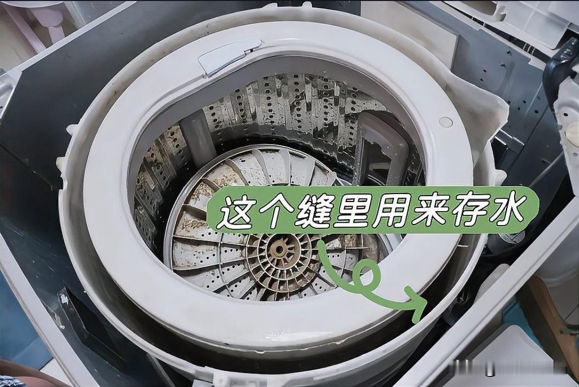 洗衣机内筒细菌数万，竟比马桶圈更脏？
专业检测显示，使用超过半年的洗衣机，内筒细