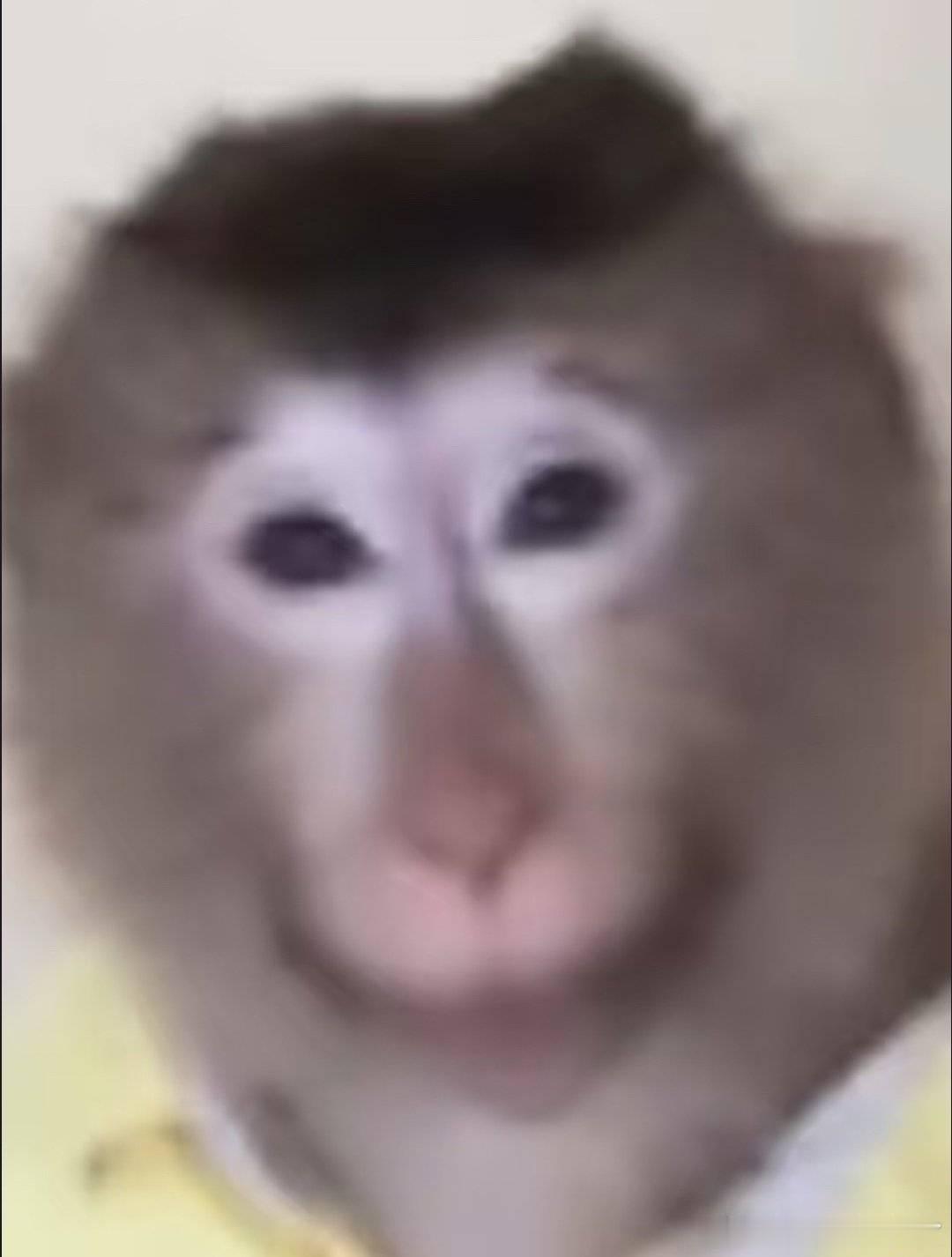 每次在美容医院做完脸都会敷面膜，虽然医护给的解释是做完项目要及时补水，但我认为大