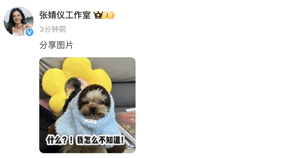 张婧仪工作室火速辟谣与陈飞宇二搭 