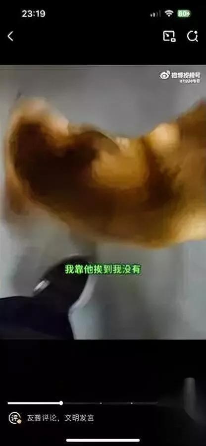 遛狗不拴绳还有理？

我真的开眼了。

佛山这位姑娘的神逻辑，真的能把人气笑。