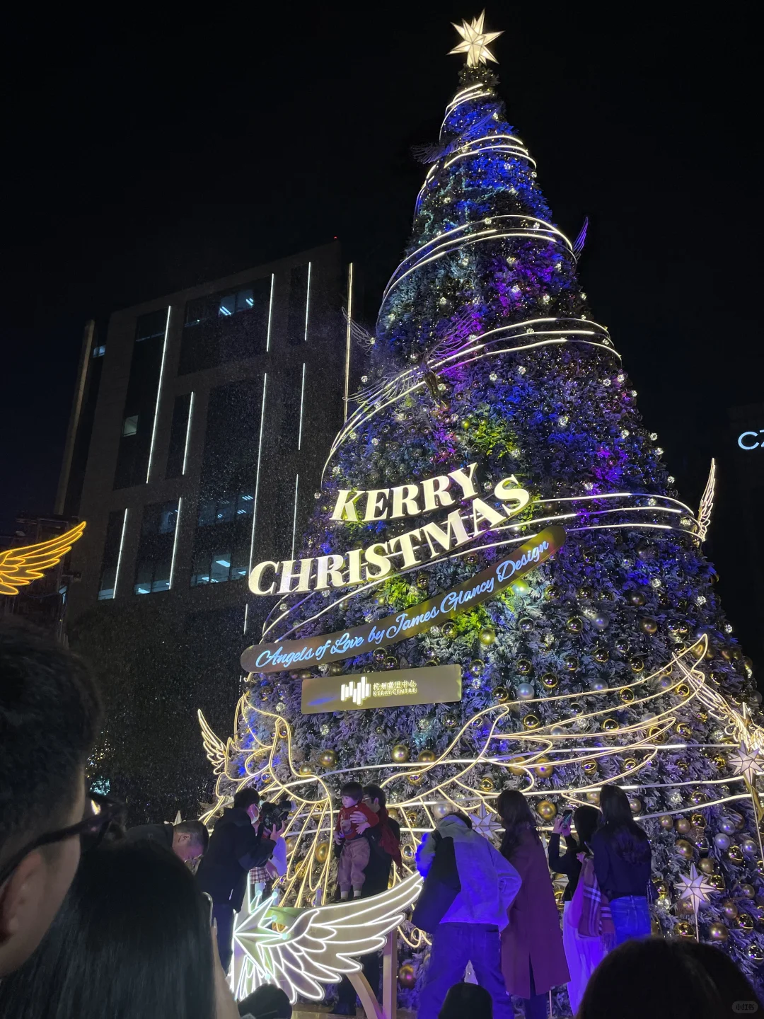 交换一张你手机里的圣诞树🎄照片！！！！