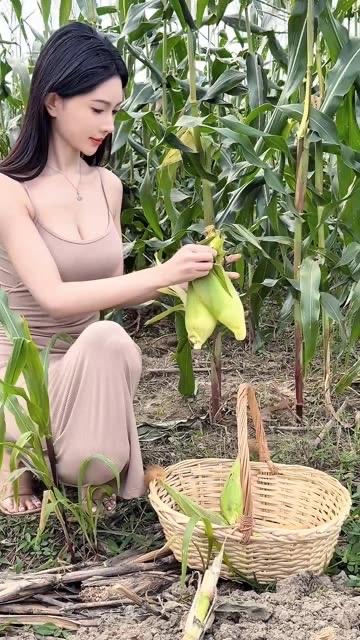 晒一下生活的美照