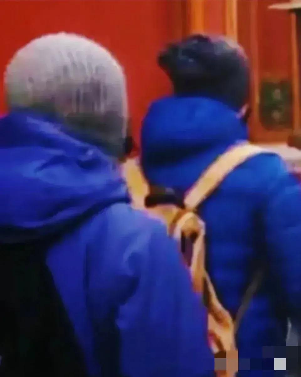 捂的这么严实，可还是被发现了！王菲与谢霆锋同游故宫被拍。他们在一起确实太合拍太登