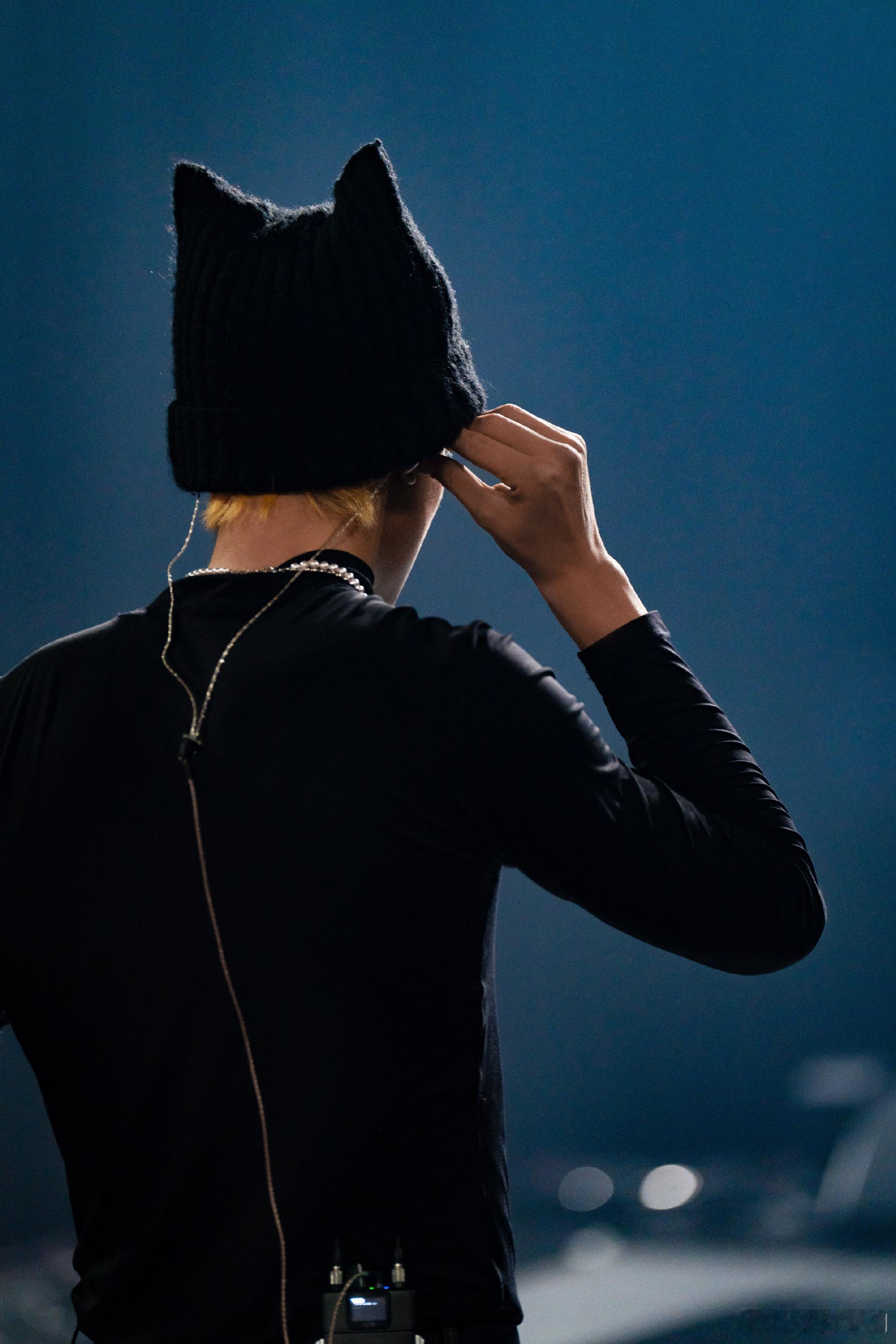 王鹤棣2026 D.PARTY演唱会加载进度条拉到80%！舞台氛围感直接拉满，猫