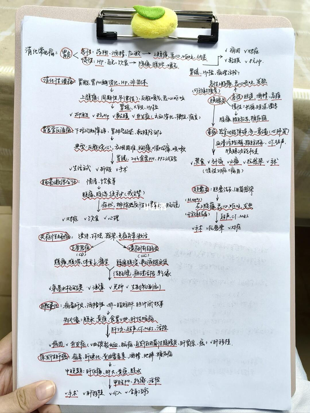 医学生实习｜消化内科部分常见病