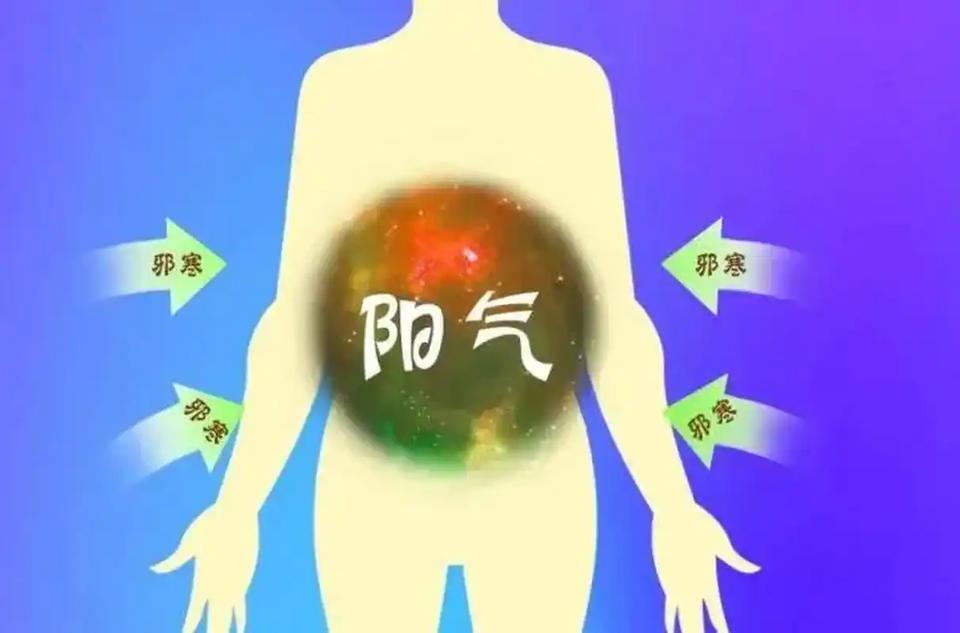阳气一虚，人就塌了。腰疼、怕冷、没精神，吃再多补药也没用。阳气补不进骨头，就是白