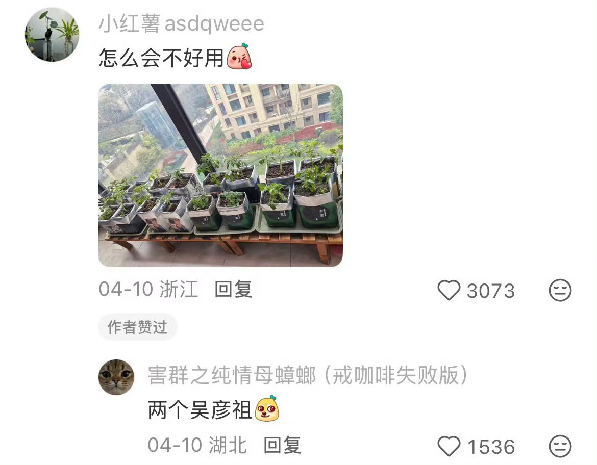 如果有人问奶茶袋放家里有什么用 ​​​