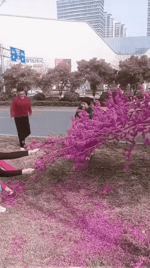 太没有公德心了，只管自己玩的开心高兴，不顾树木花草的损坏！

大家看看这个视频，