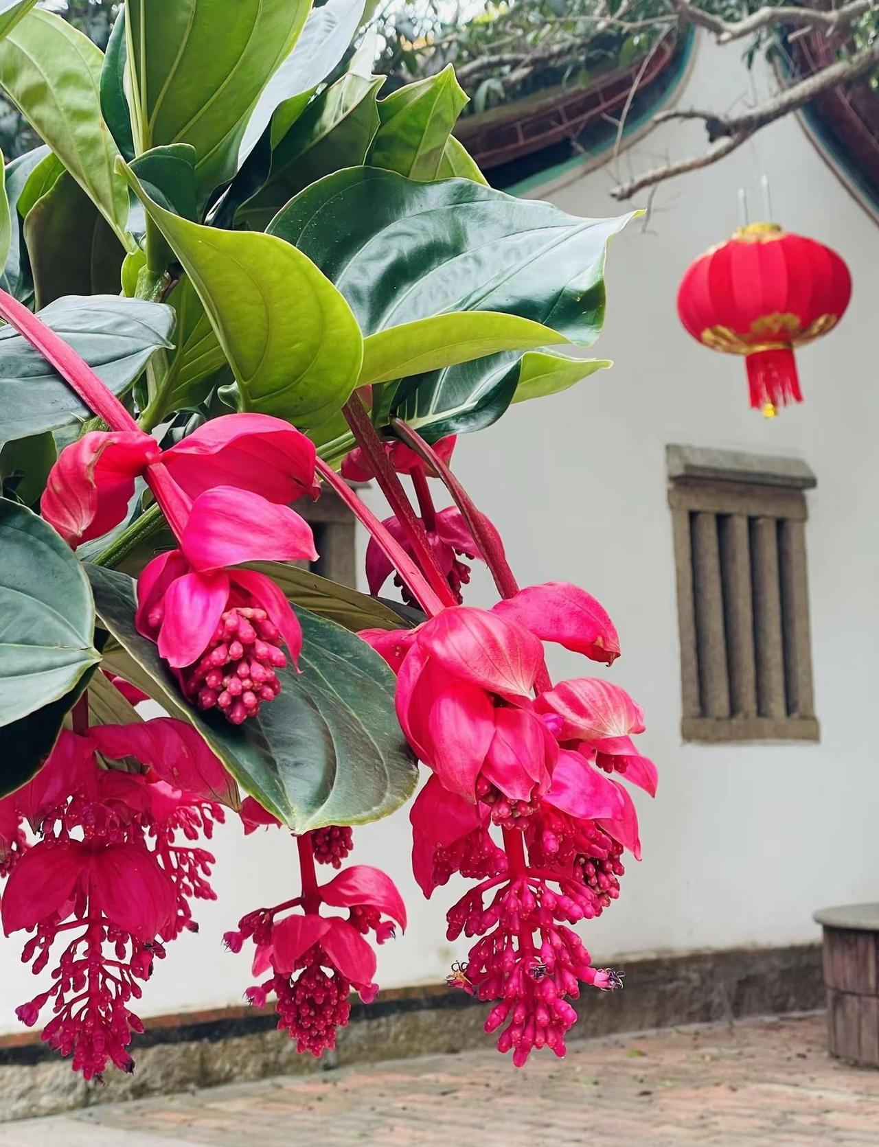 心有暖阳，万事皆安