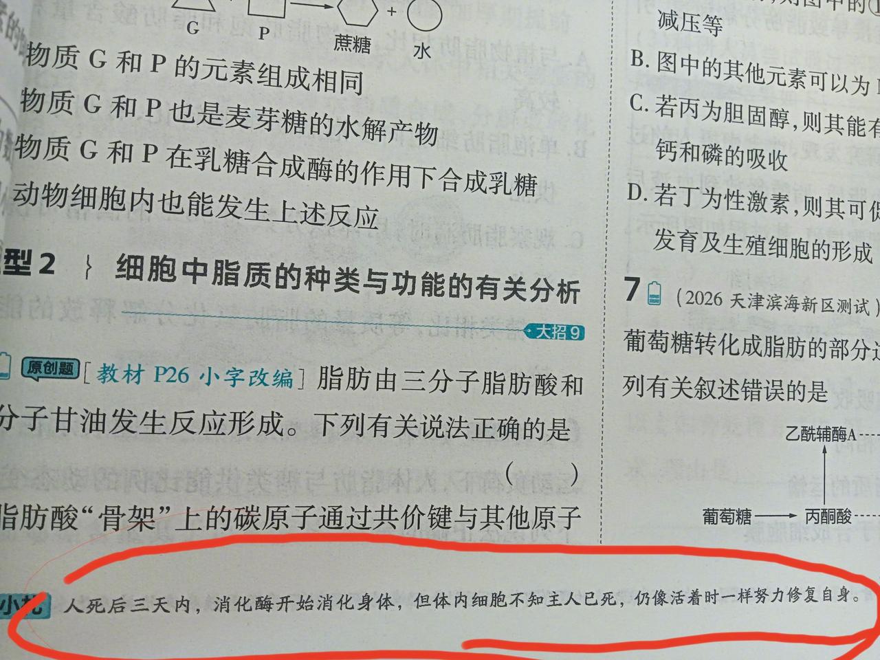 你的身体比你想象中的更爱你