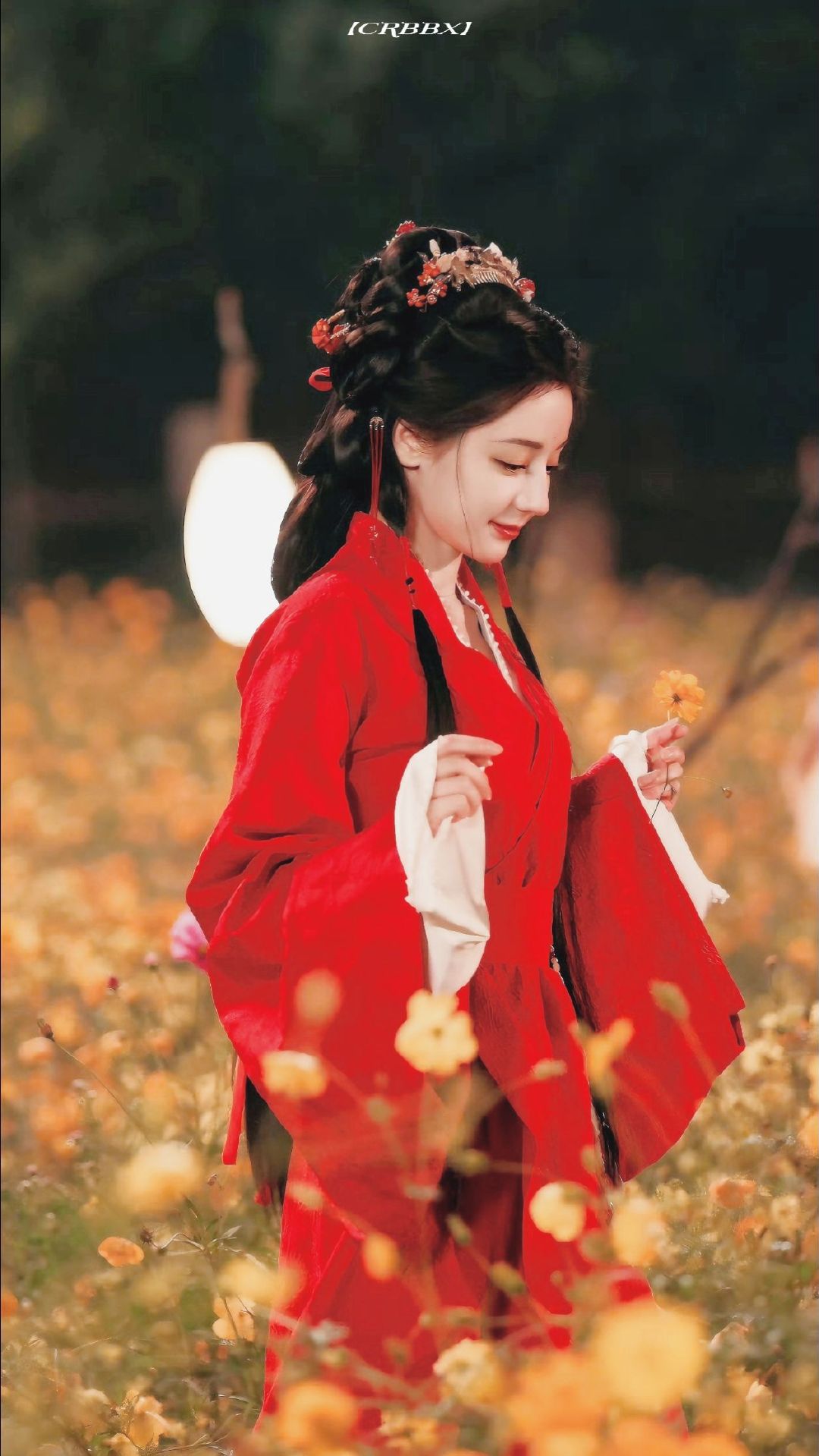 热巴陈飞宇神级路透这段终于来了 白日提灯花海神级路透要播了 白日提灯花海神级路透