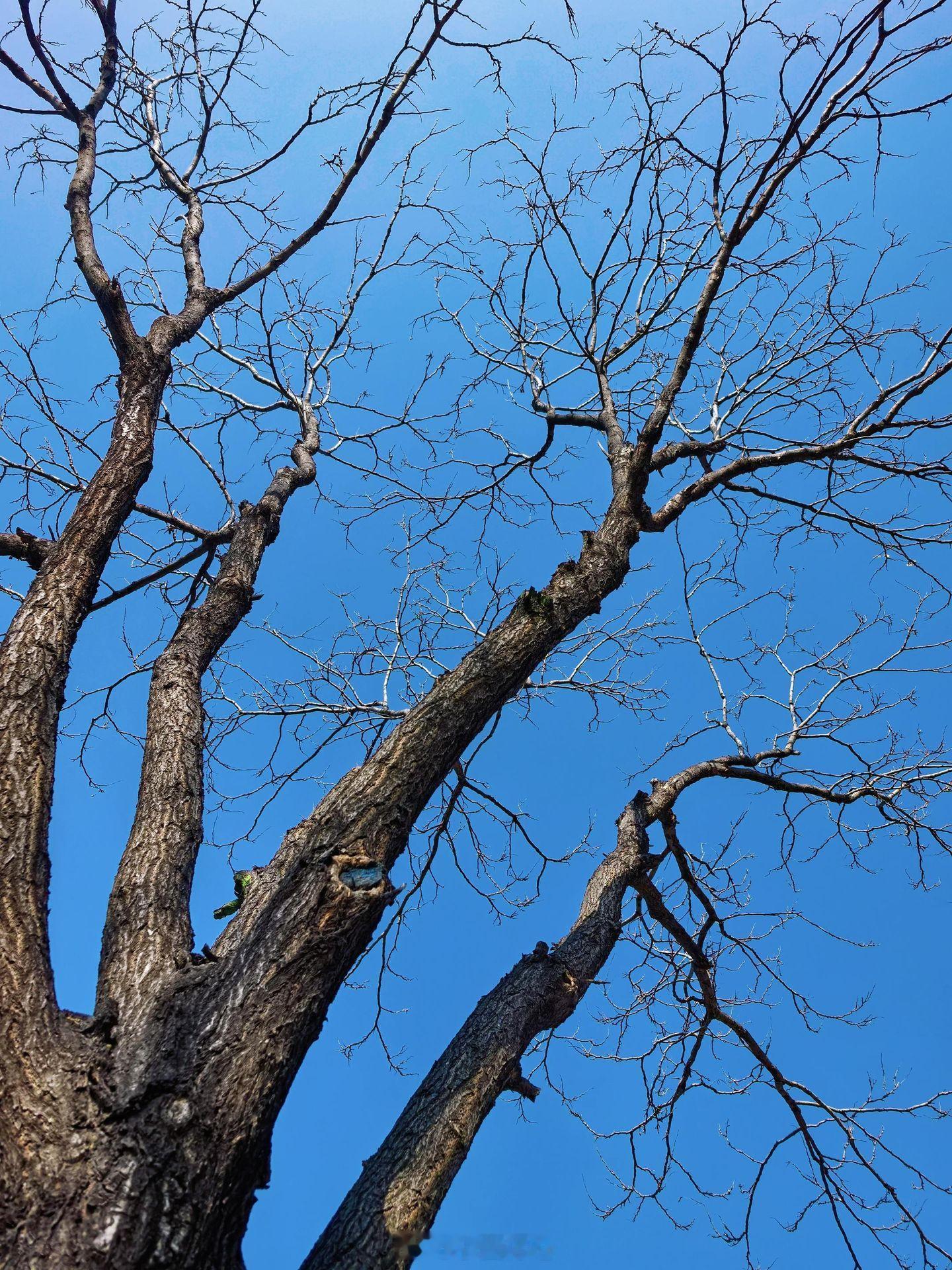 早上好小菌 没有来日方长，想干什么就去勇敢的做吧，别看着枯树而感叹遗憾 ​​​