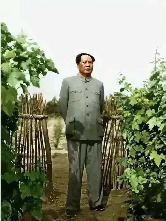 论工作事业：
1、没有调查就没有发言权
2、要善于团结和自己意见不同的同志一首工