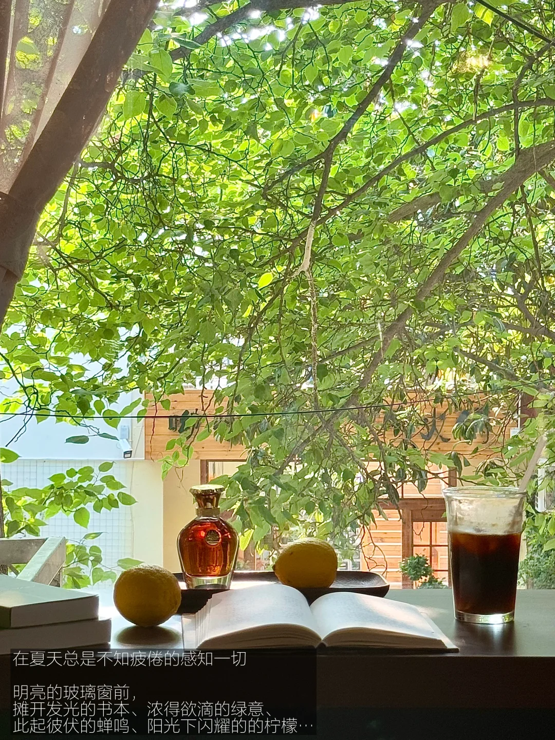 “喜欢夏天的光照、风的气息、蝉的鸣叫”
