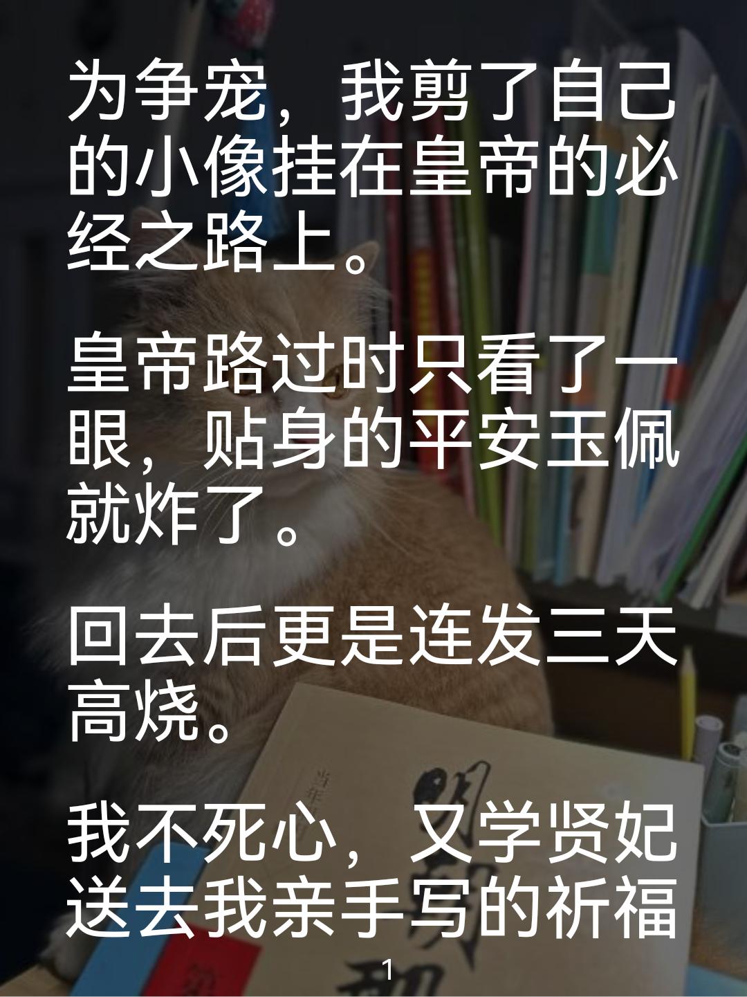 《晓梦争宠》
不知不觉，假期打发时间我算找到了一个新的爱好，不知道大家有没有在假