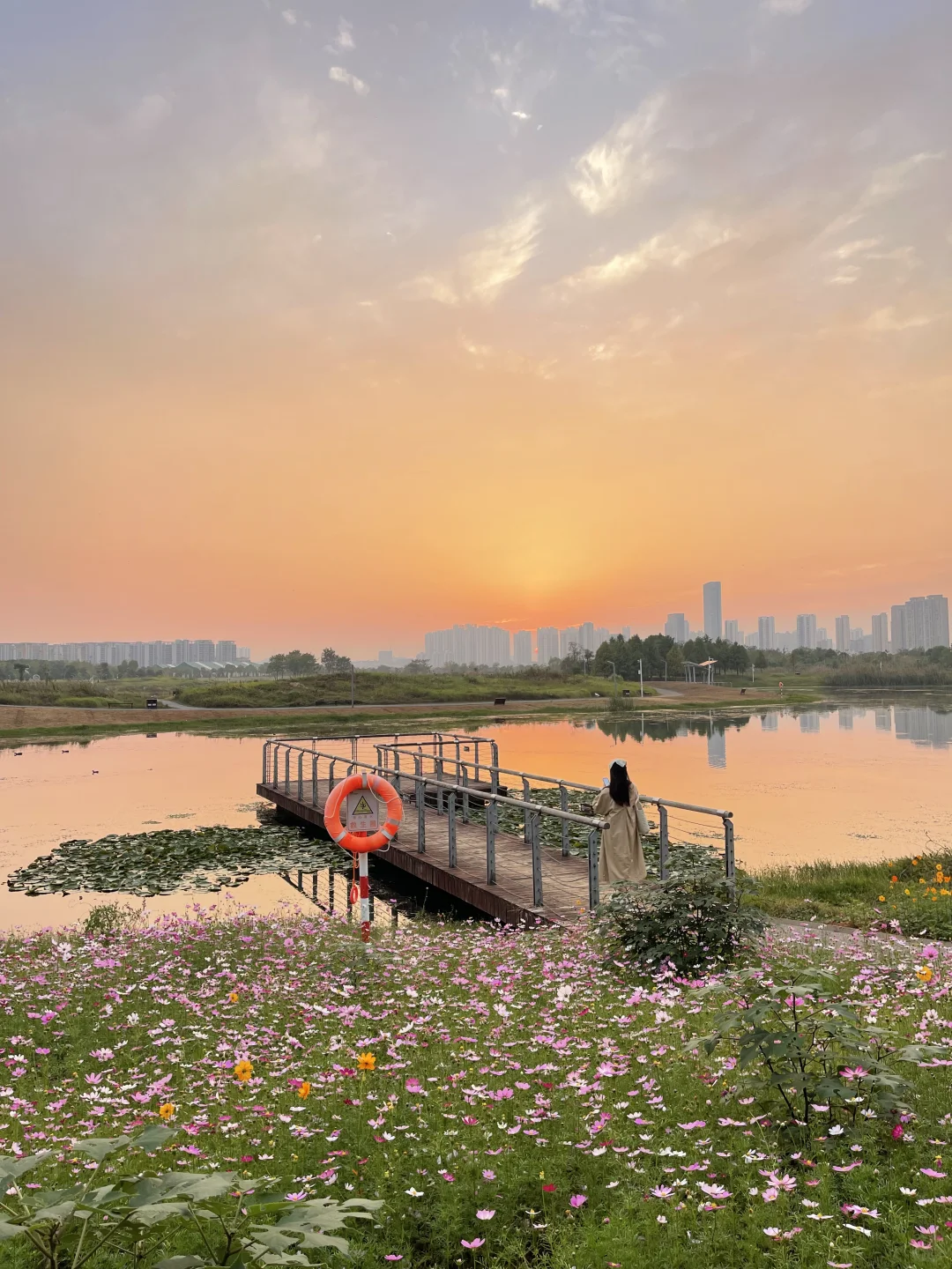 在长沙！！秋日版的莫奈花园，太浪漫了！ 🍄