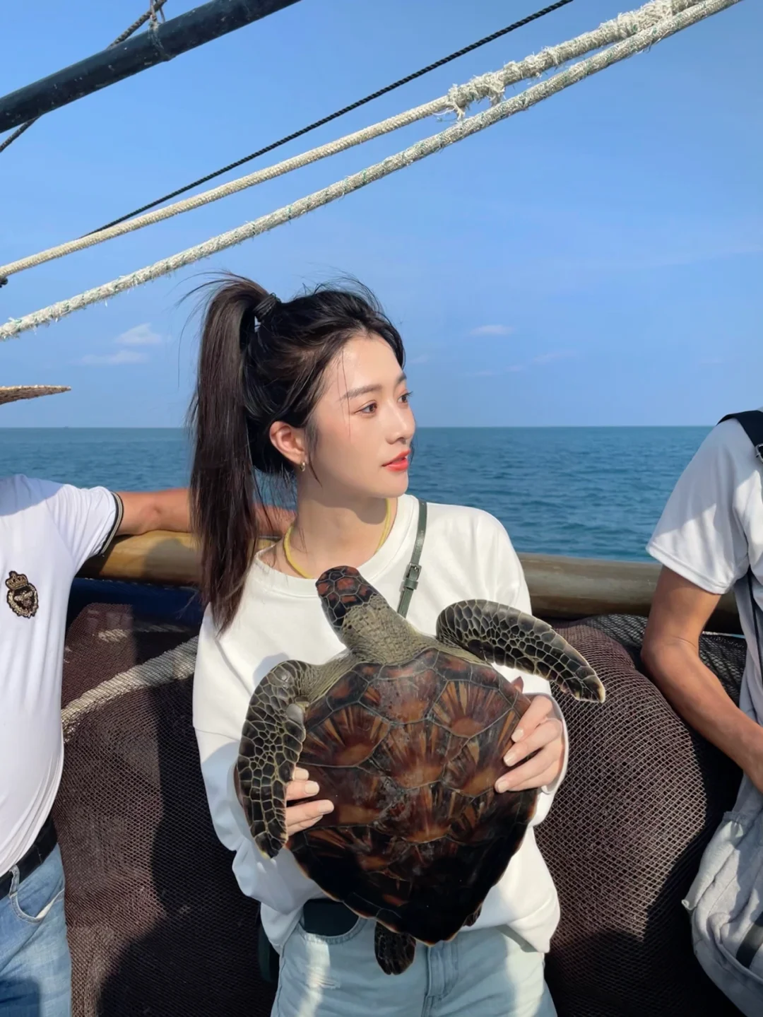 义工日记🐢“它们不能发声  但我们可以”