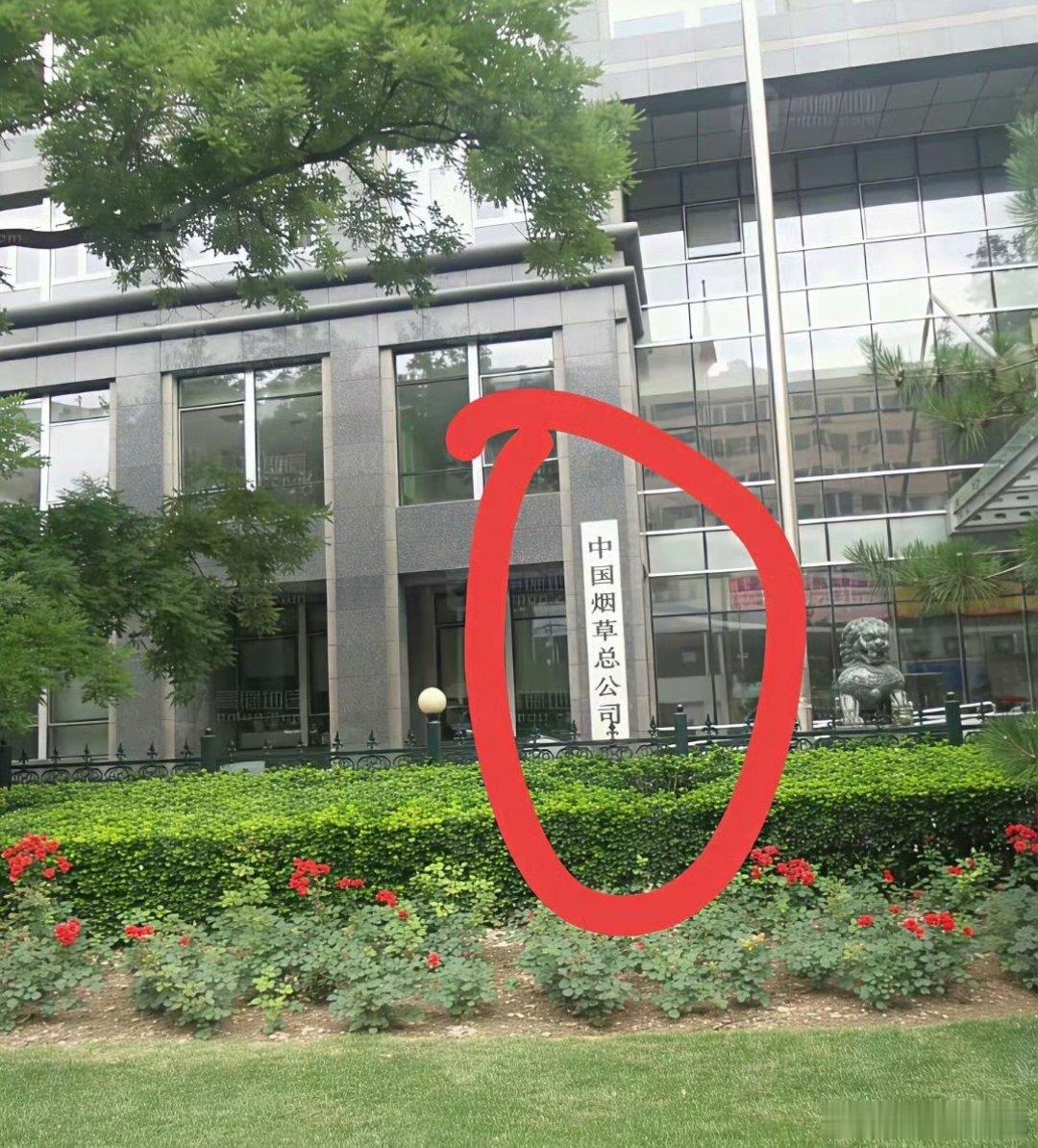 好奇到这家单位上班应聘，得是什么学历的啊？什么学历才能去这家单位上班 ​​​