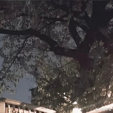 0000笃行不负韶华岁月匆匆而过，朝夕更迭间，日子始终在向前推进。生活里少有唾手