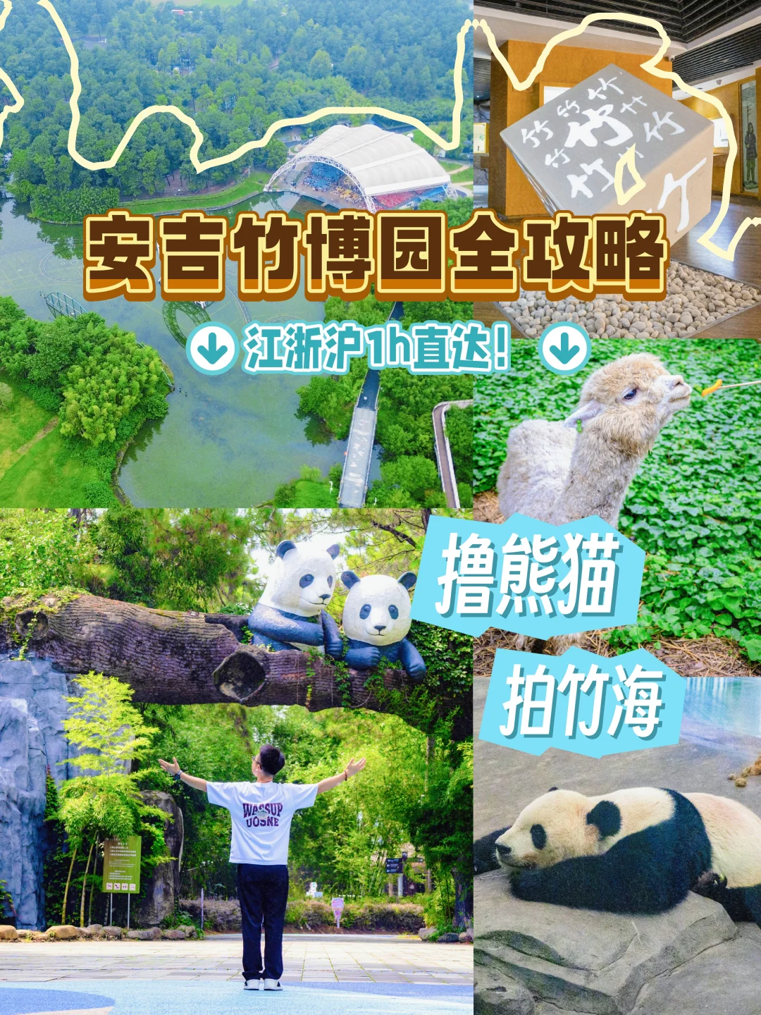 安吉竹博园｜撸熊猫+拍竹海！江浙沪1h直达