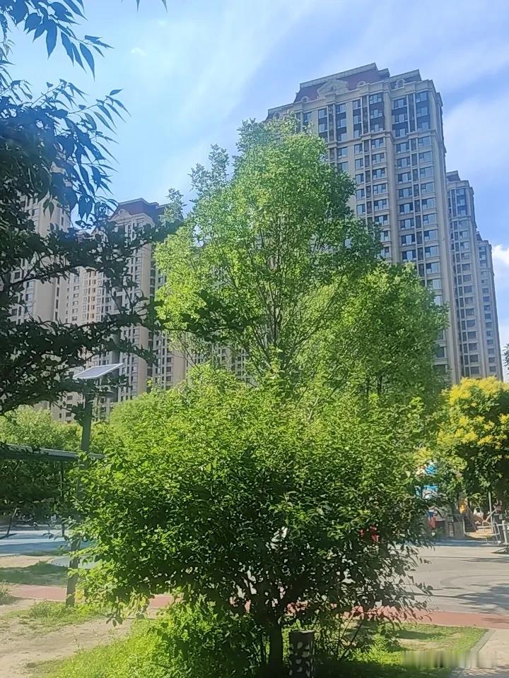 芒种至，夏已深。这是一个连汗水都带着希望味道的时节。
愿你在忙碌中种下期许，在收