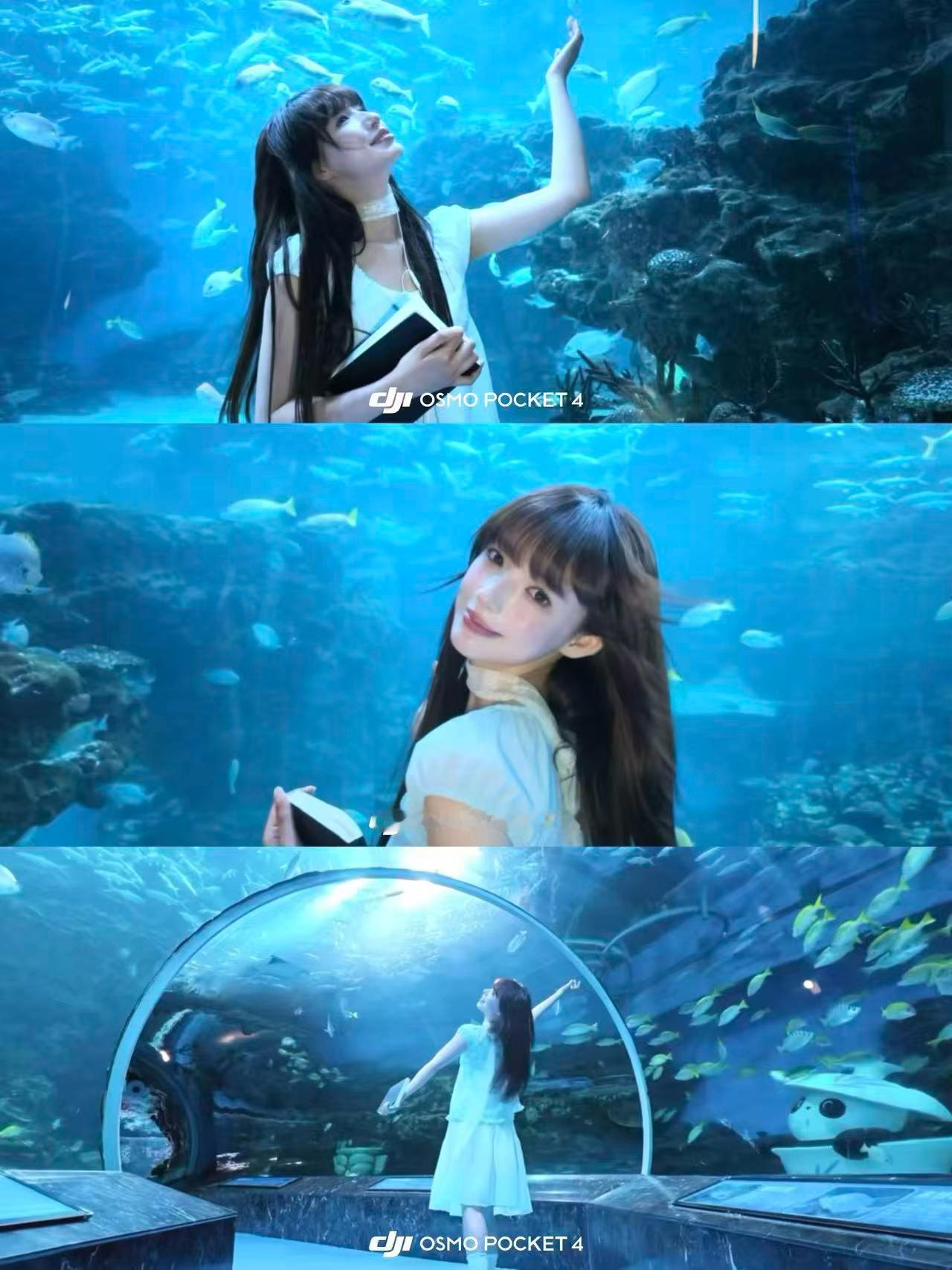 勇敢的有钱人先享受世界🐠 终于来打卡心心念念的海洋馆啦！穿一身白裙子站在巨大的