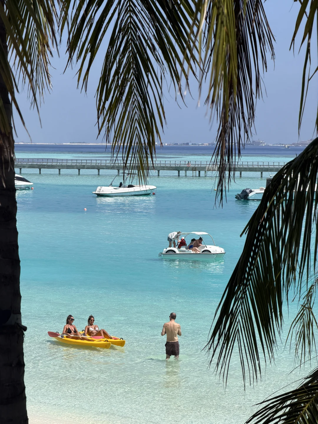 春假来看海啦🩵🐚🏝️🐟