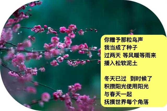 说是风清云淡
推窗看看 
果然果然
·
不如去郊外走走
开花心情
预备花开前
