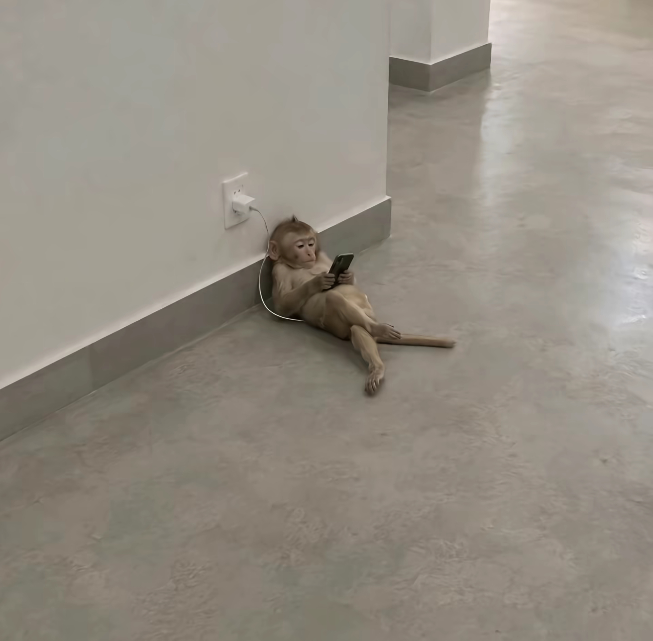 我每天的状态： ​​​
