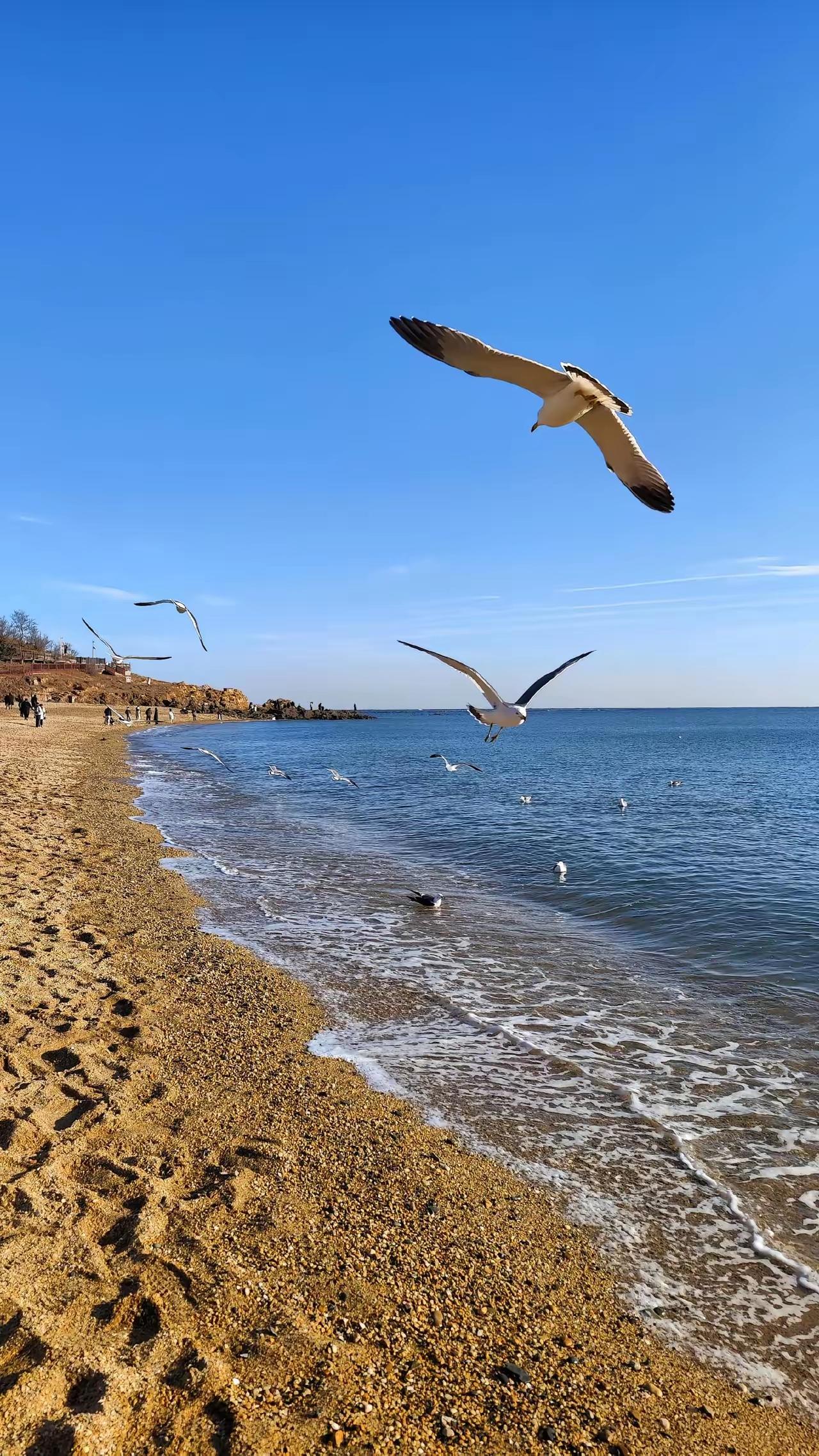 晒晒海边的风景