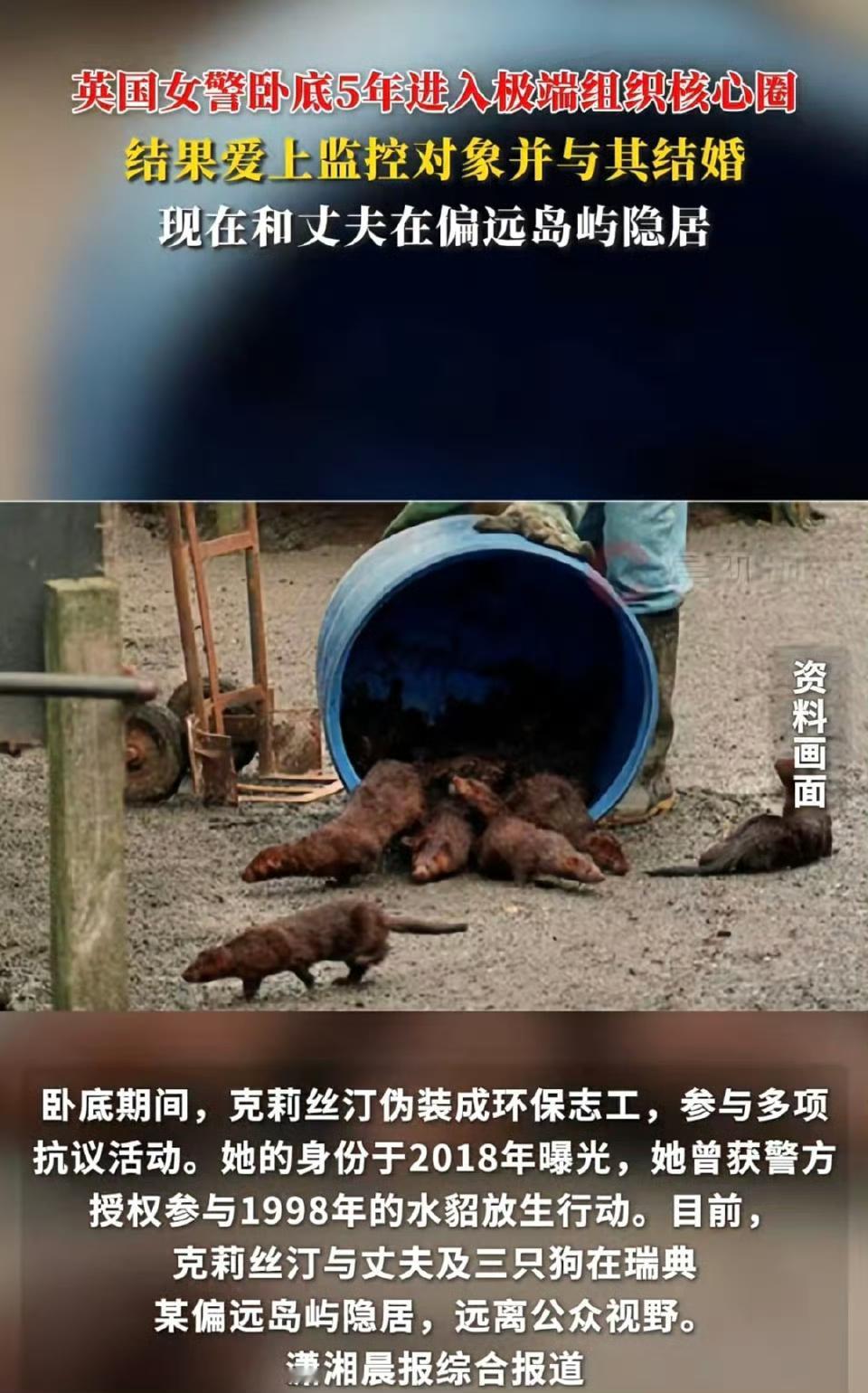 谁能想到，英国女警卧底5年打进极端动物保护组织核心圈，最后居然跟监控对象闪婚，现