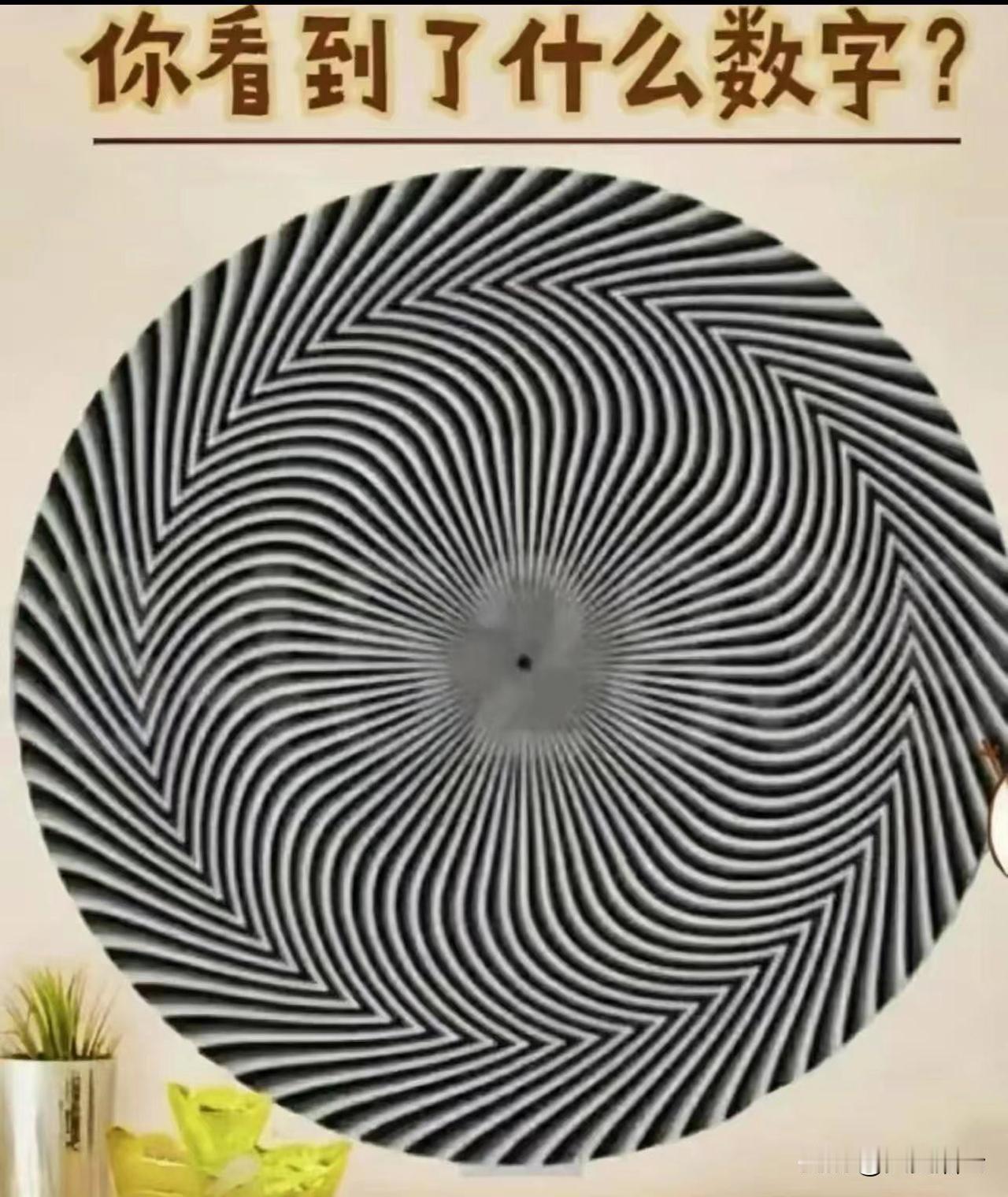 大家都能看到什么数字呢？