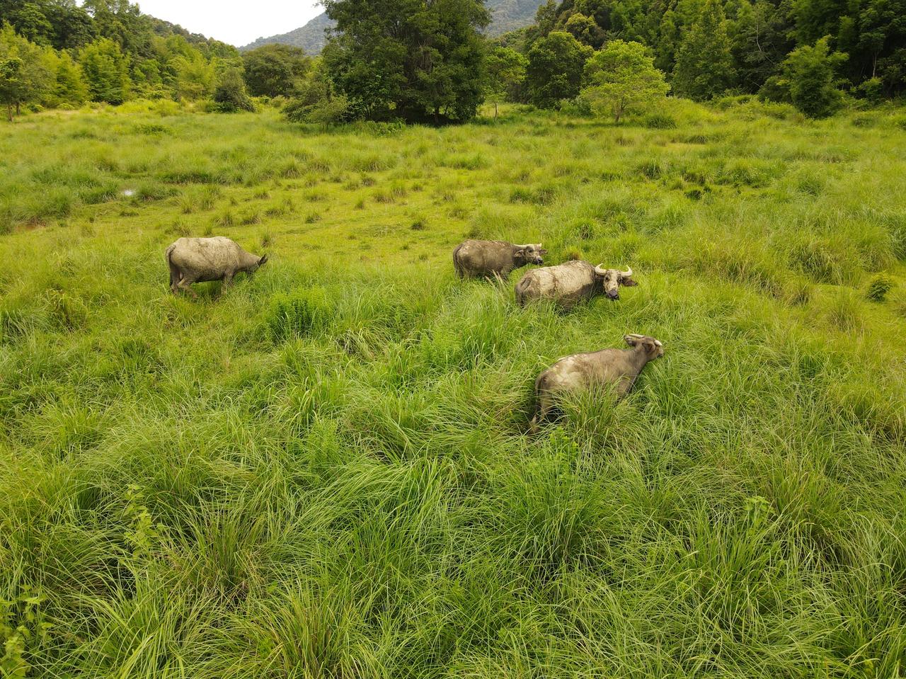 藏在广东河源万绿湖畔的“河源阿勒泰”，不知道有没有朋友来过这个地方？这个地方就在