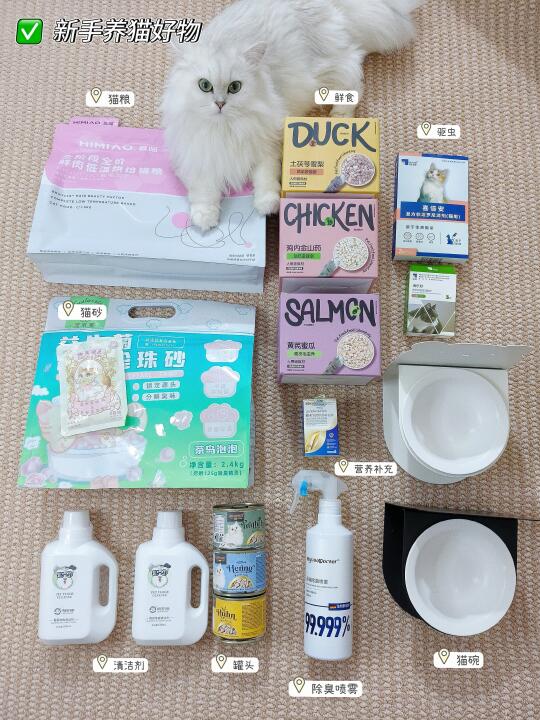 分享|新手养猫好物🛍️