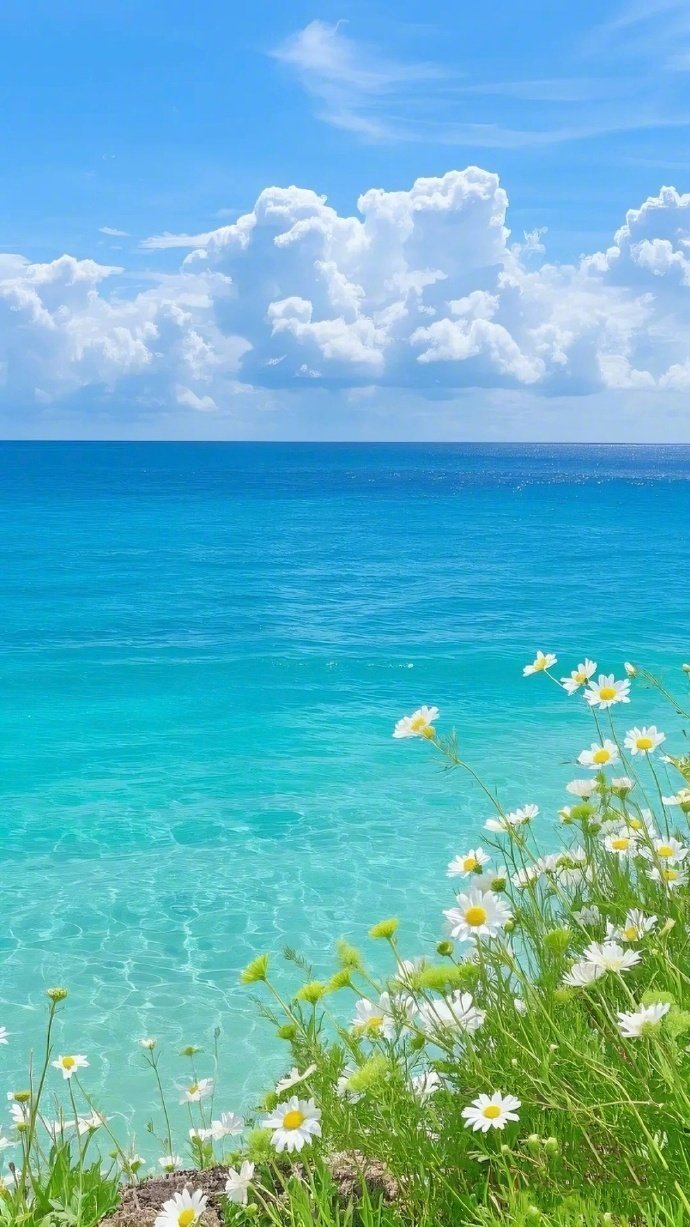 夏日的午后 