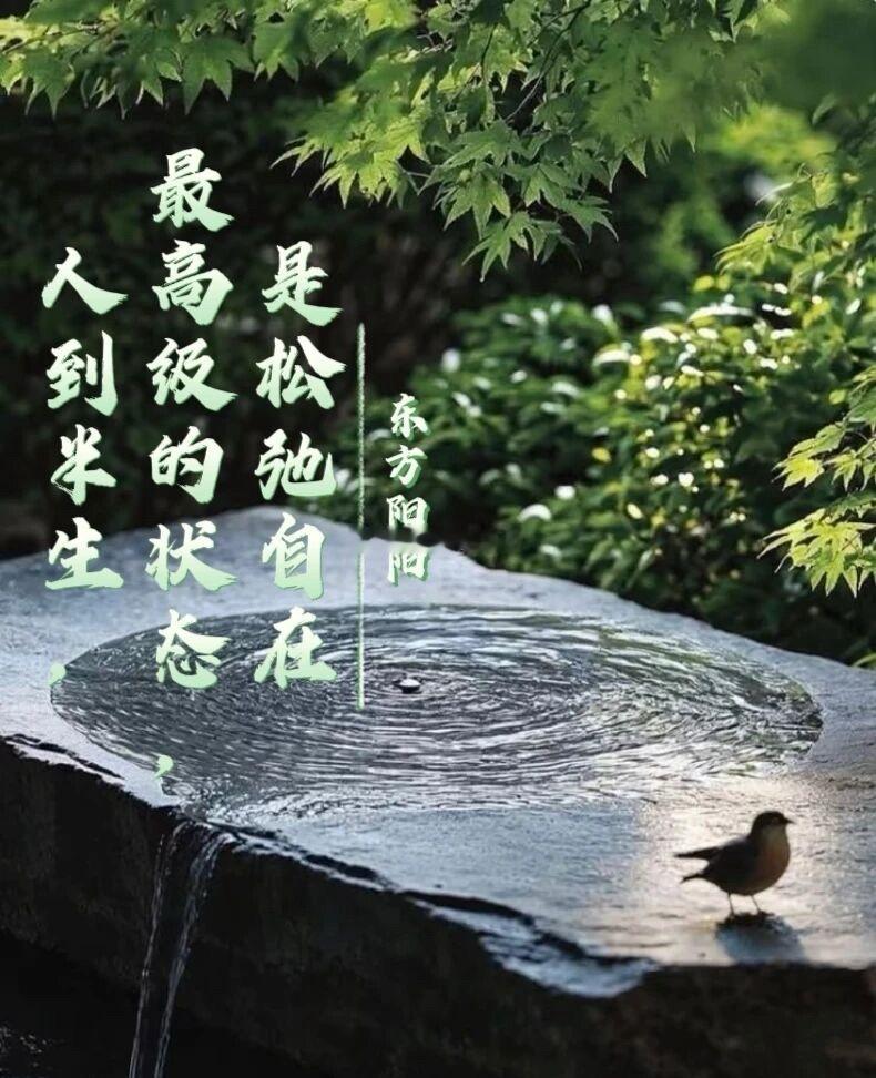今天已经是连续回调的第四天，不知道大家此刻是什么心境。我不会选择躺平摆烂，反而已