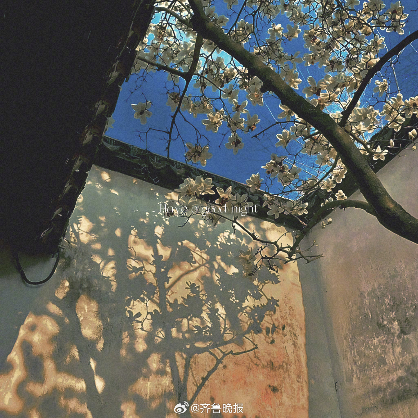 最慢的步伐不是跬步 而是徘徊[月亮]#晚安# ​​​