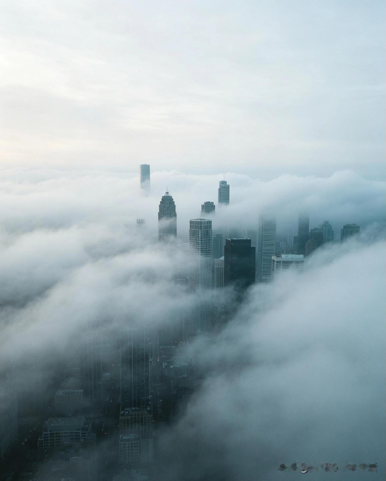 起风了，天气预报说
北部有十级以上大风
我是怕风的
源于儿时为大风气势所惊

倘