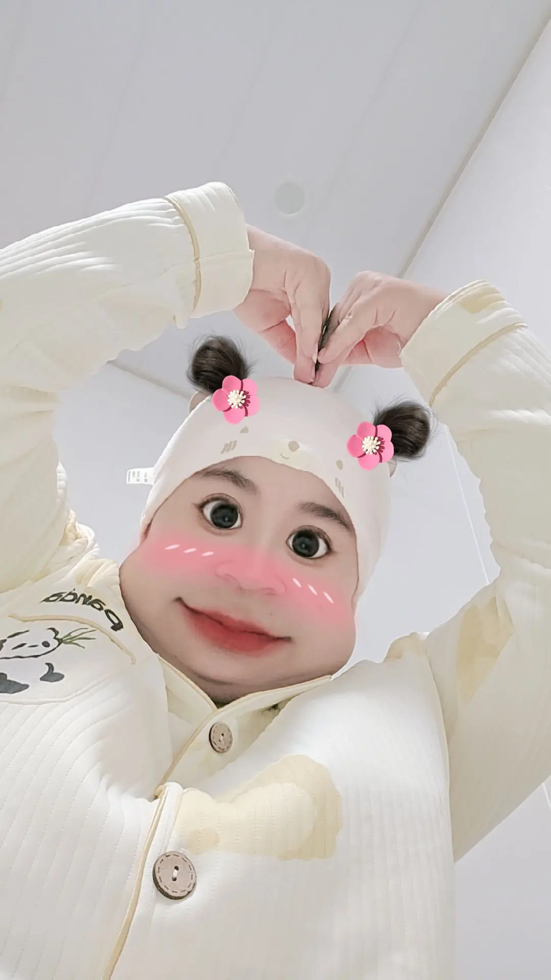 肩上蝶