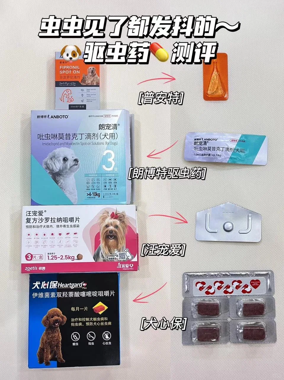 虫虫见了都发抖的驱虫药测评💪！
