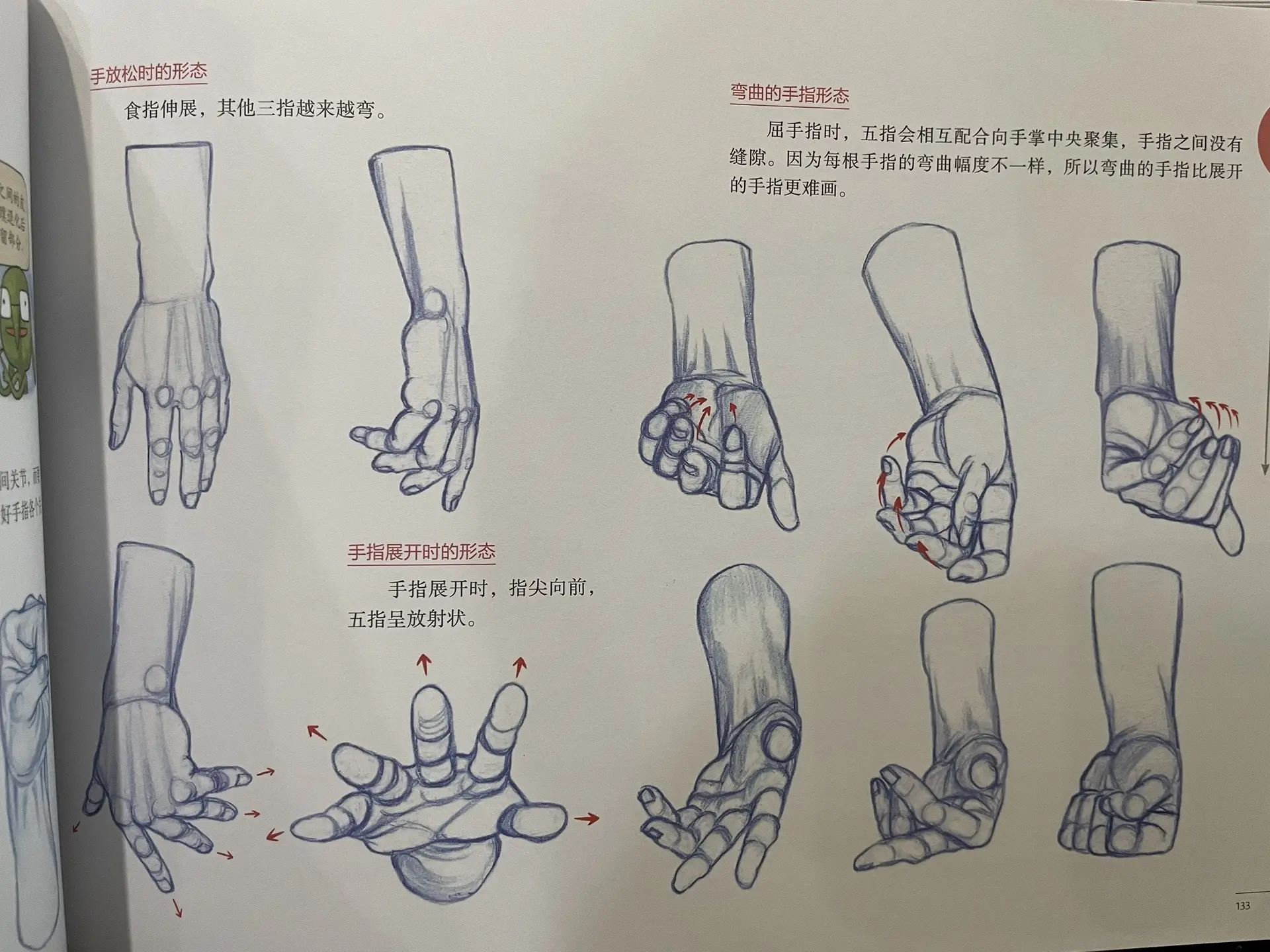 关于绘画。这本书最大的特点就是没有照片，全部是作者一笔一画绘制出的图来...