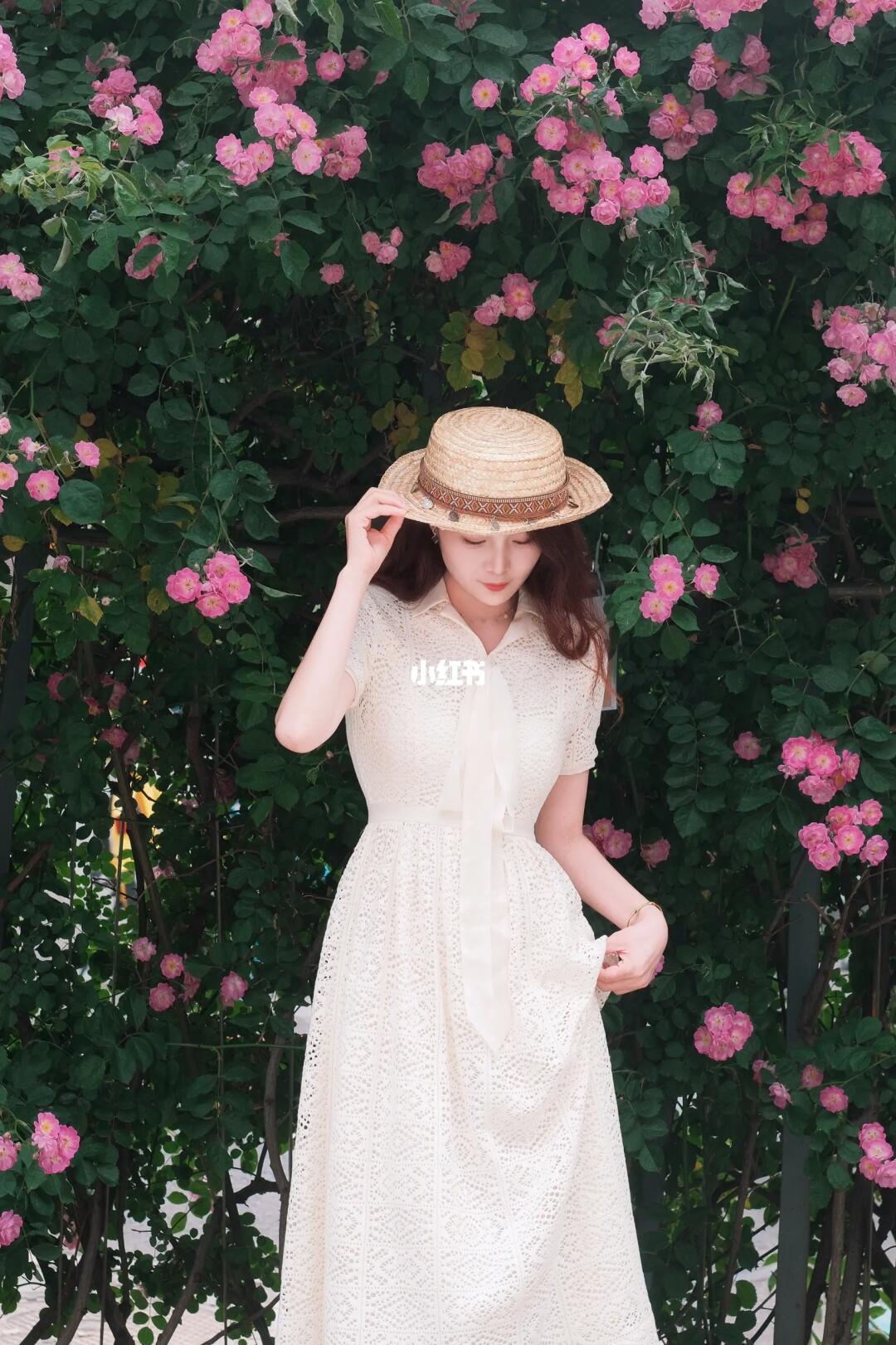 🌺 **初夏限定！郎园蔷薇花墙秒出氛围感大片