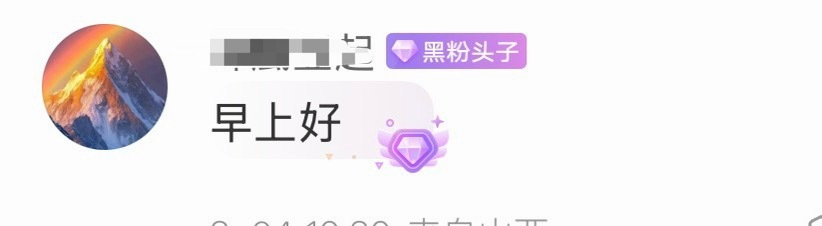 钻粉4是可以自定义名称的，我改成了「黑粉头子」。你们觉得合适不？有没有什么更推荐