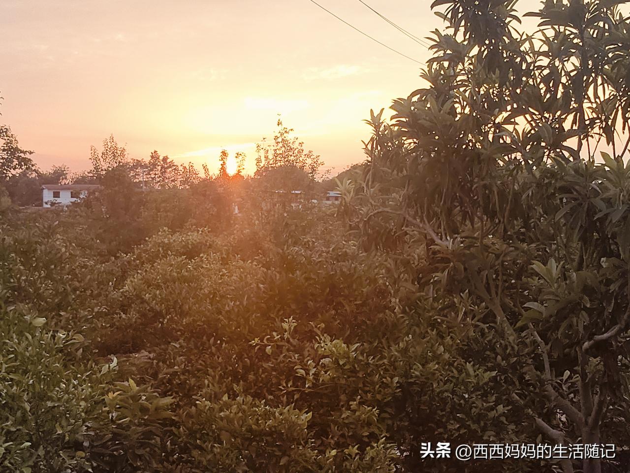 高考结束后，听说以前我们班上成绩一直优异的学习委员，考了563分，如愿理想大学继