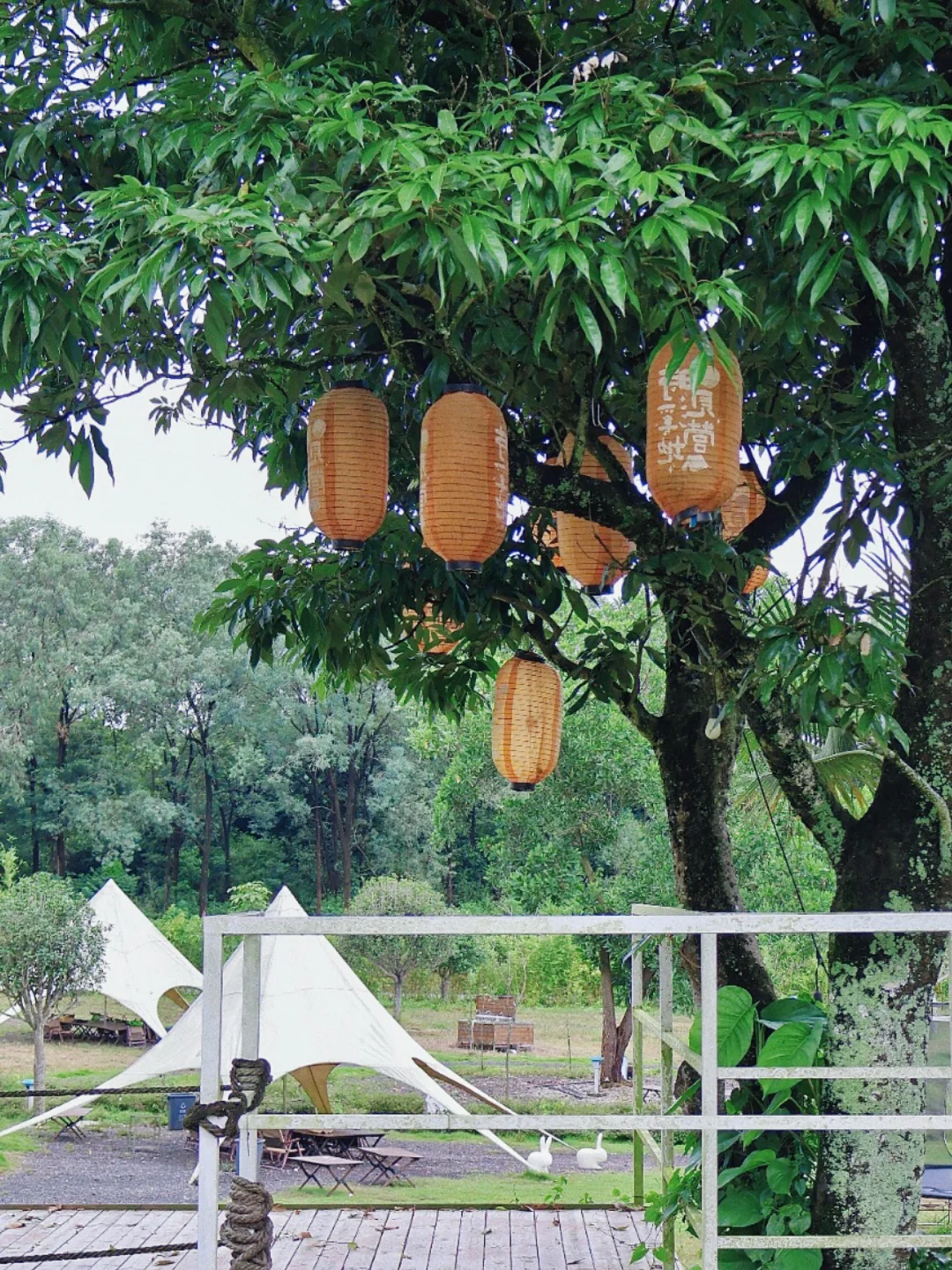 广州露营🏕藏在竹林溪流旁的野奢营地