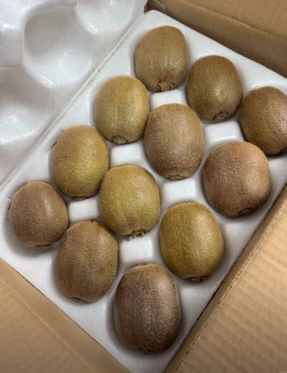 🥝猕猴桃上市真是忙到脚不沾地！果子娇气，就怕发货慢、运输磕碰，一旦耽误时效，好