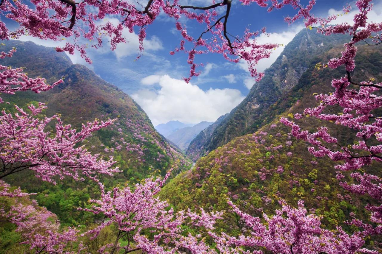 【你的注意力花在哪儿，人生的花就开在哪儿】
        “你的注意力花在哪儿