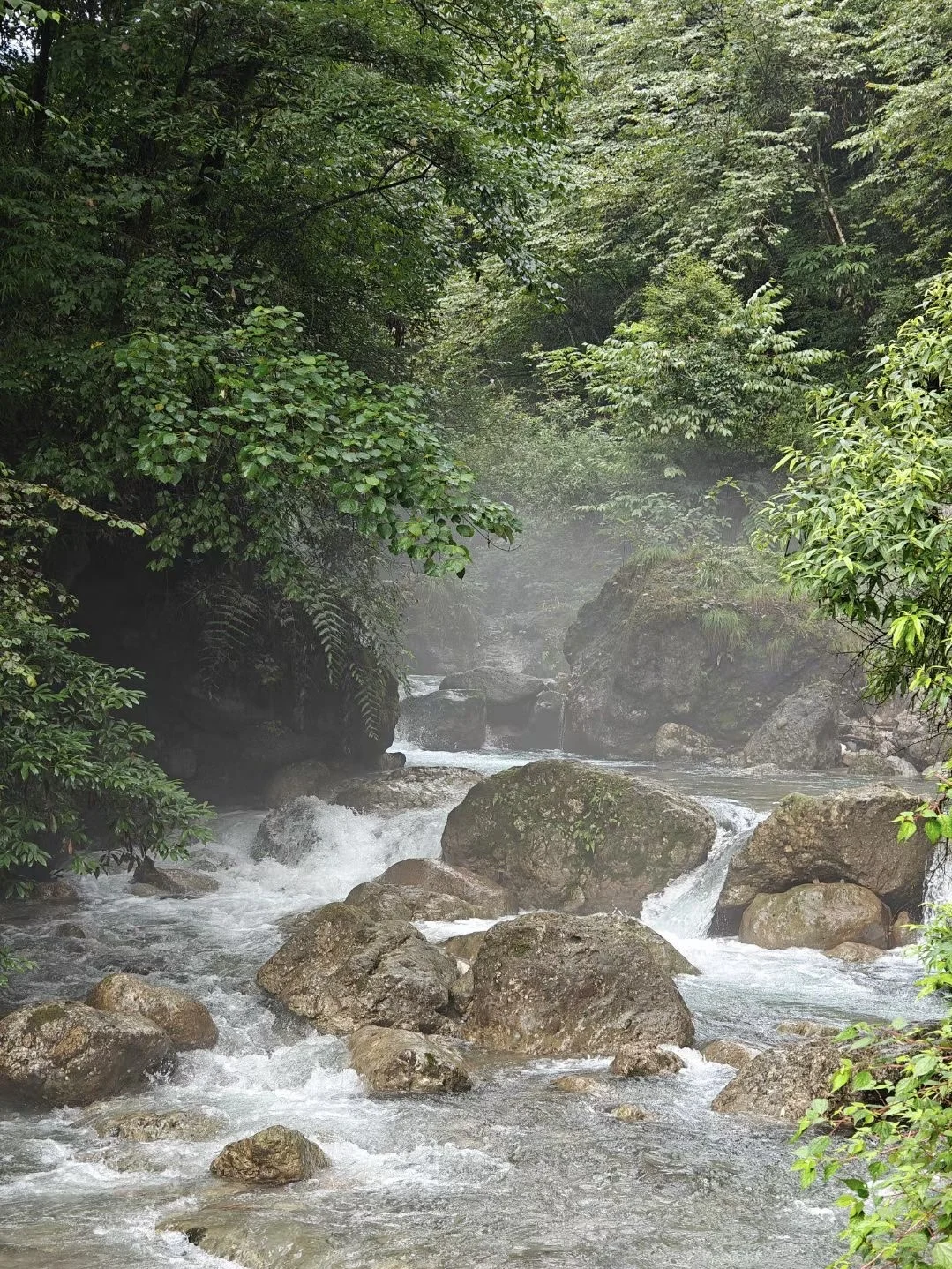 暑假生活｜来青城山过19度的夏天🍃